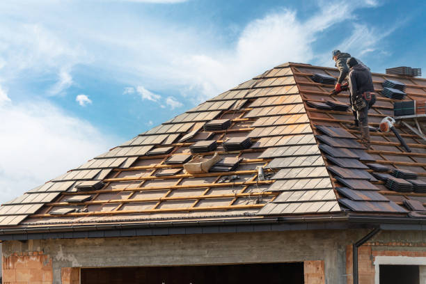 Best Roof Maintenance and Cleaning  in Speer, NC